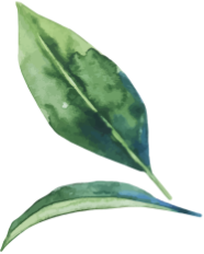 Feuille