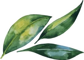 Feuille