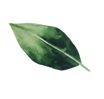 Feuille